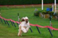 /album/windhunderennbahn/img-5027-jpg/